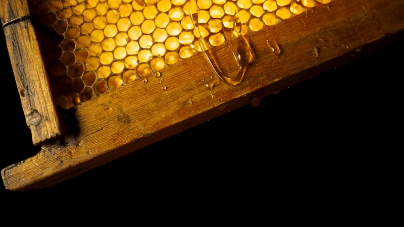 B Bees Honey Video Background